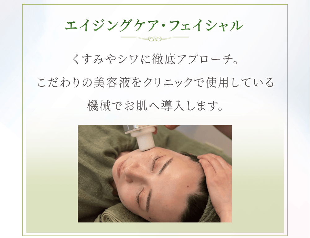 コンテンツ11